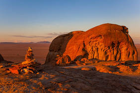 Mirabeb im Namib Naukluft Park